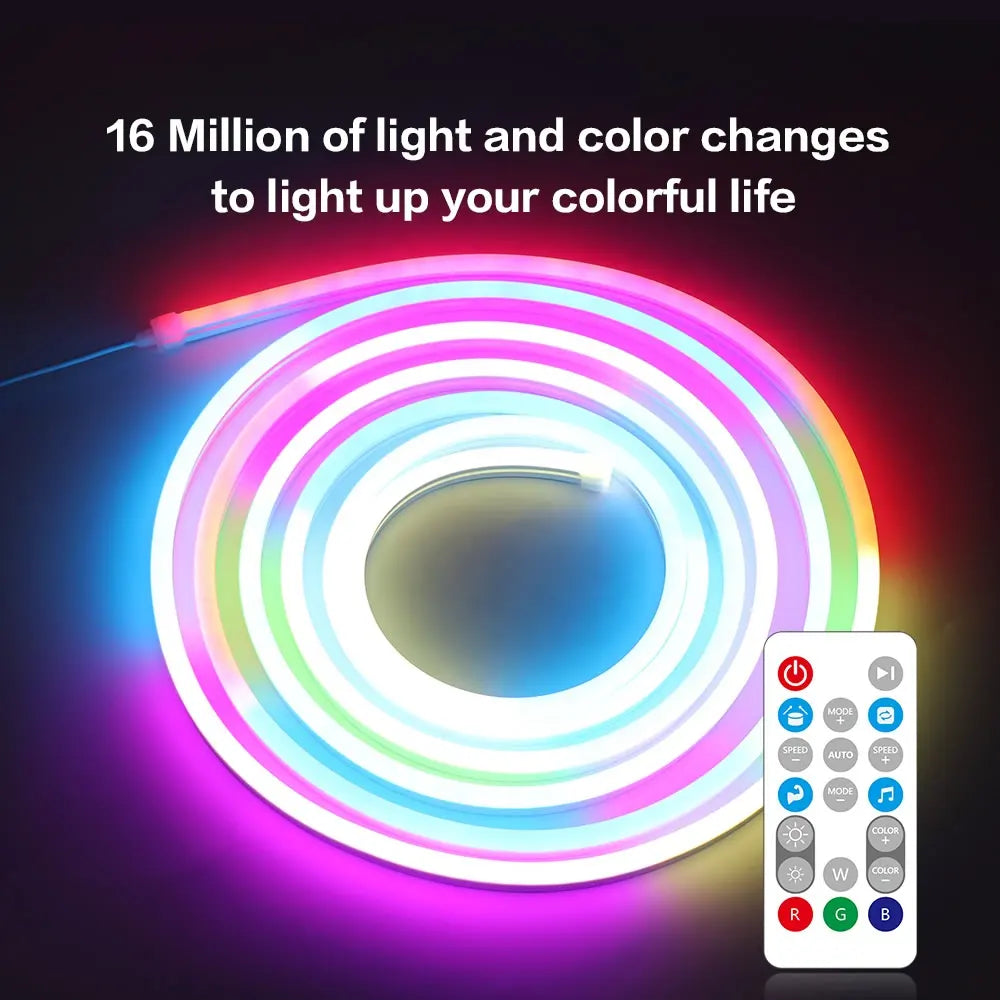 Neon Lights for Wall 5m