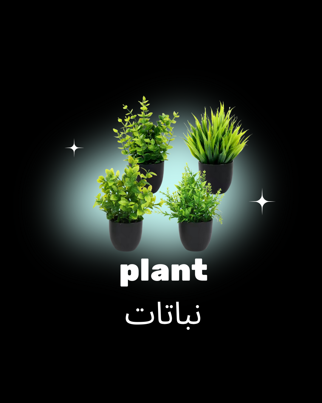plant,نباتات