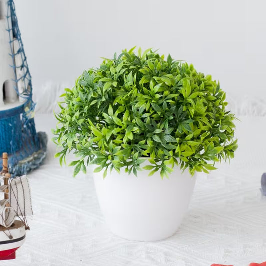 Artificial Plastic Plants