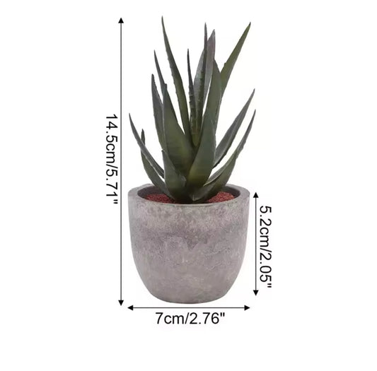 Mini Artificial Aloe Plants