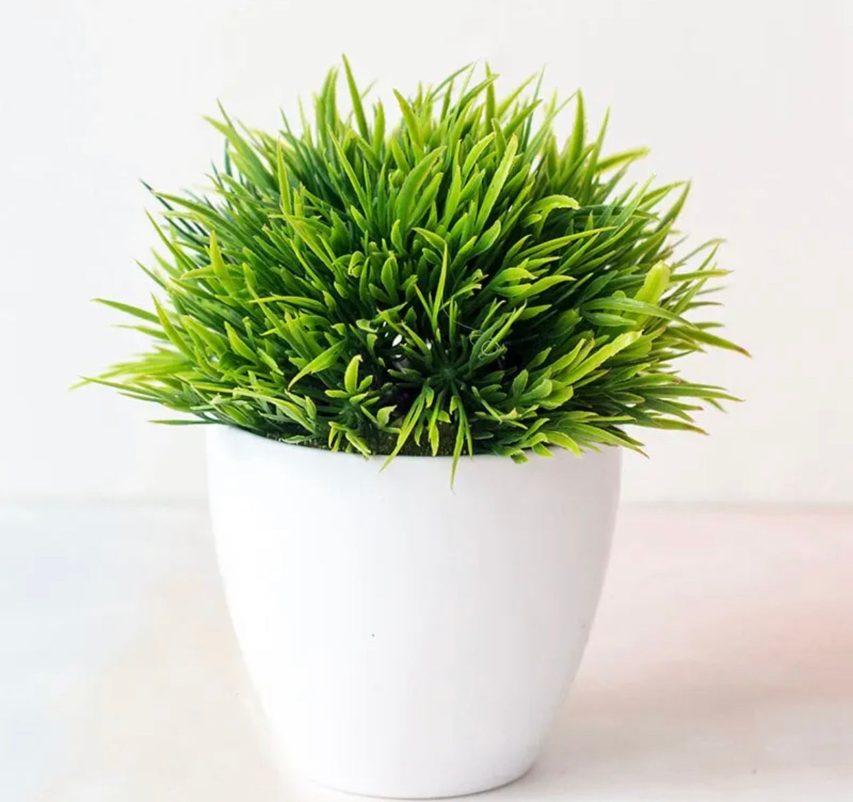 Artificial Plastic Plants